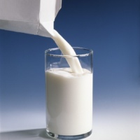 Analize mleka